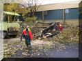 baumfaellung 21.JPG